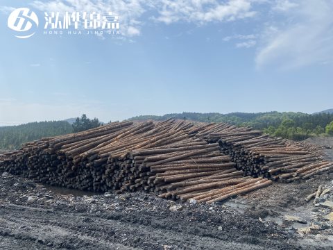 河道打樁為什么選擇松木樁來處理軟地基？-松木樁施工使用范圍